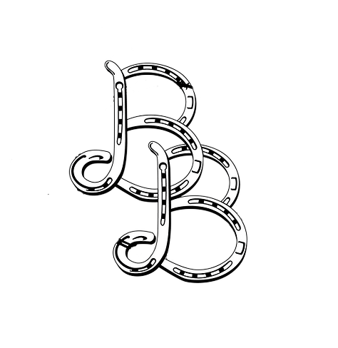 https://callbetterbuilt.com/wp-content/uploads/2021/08/better-built-logo-white.png